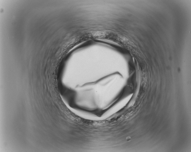 X0000070231249200606161724