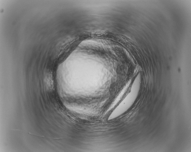 X0000070231252200606161724