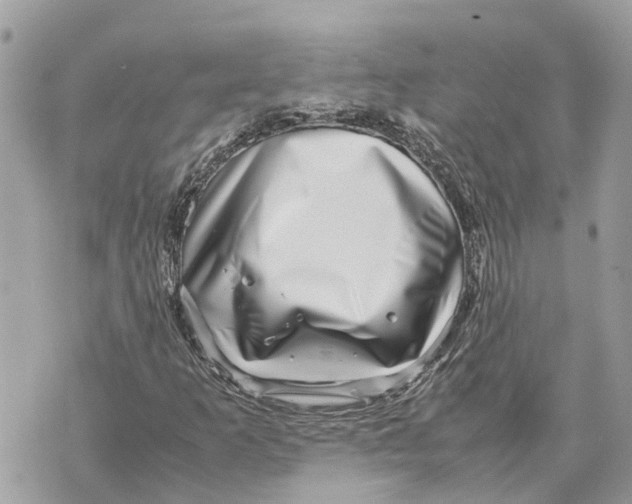 X0000070231253200606161724