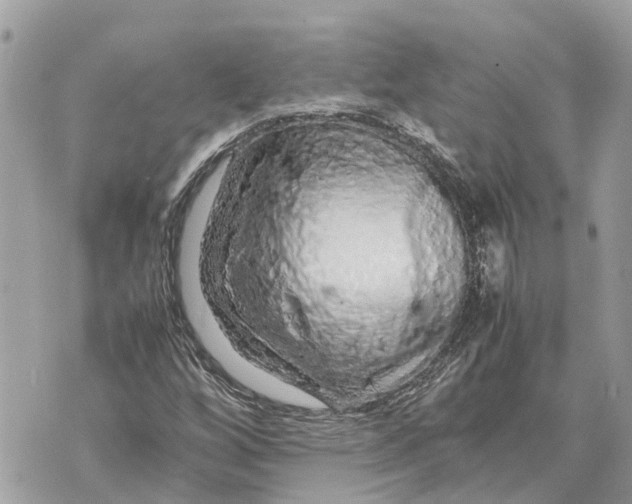 X0000070231256200606161724