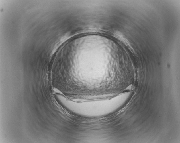 X0000070231260200606161724