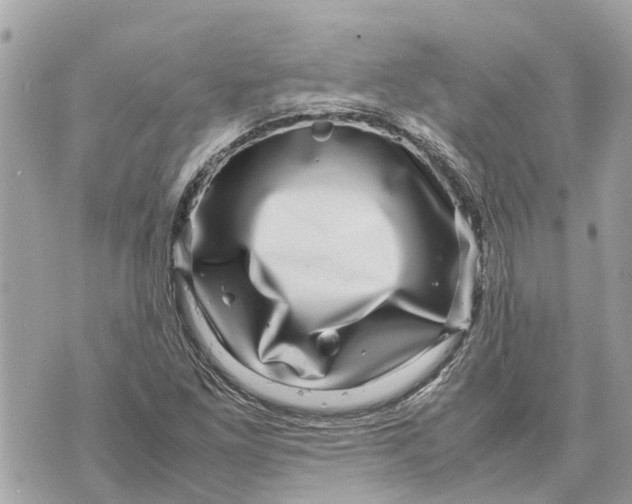 X0000070231261200606161724