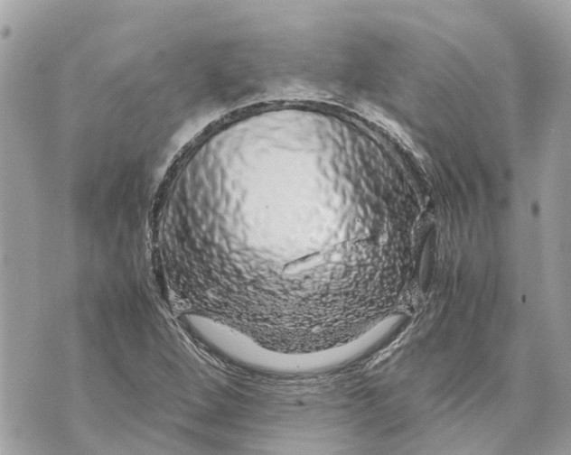 X0000070231264200606161723