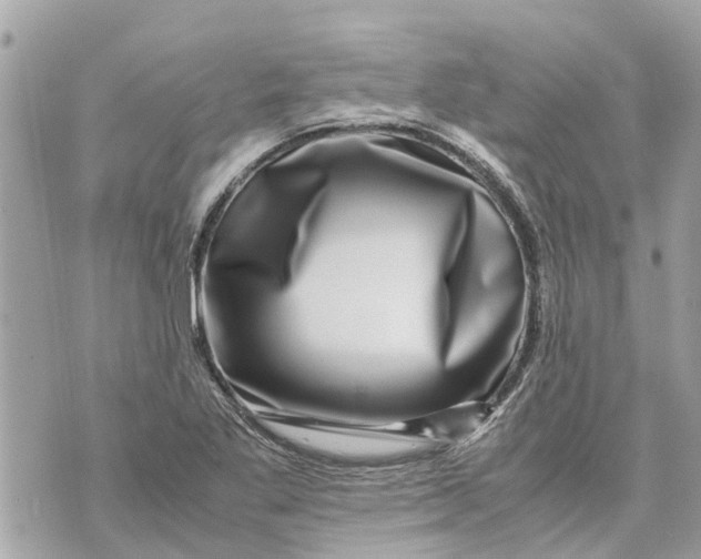 X0000070231269200606161723