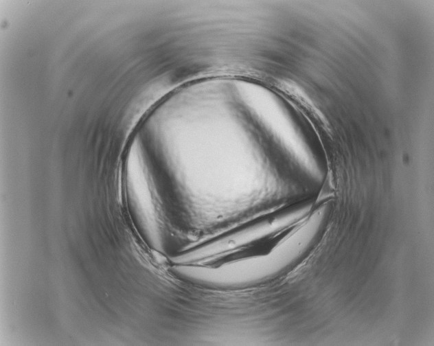 X0000070231276200606161723