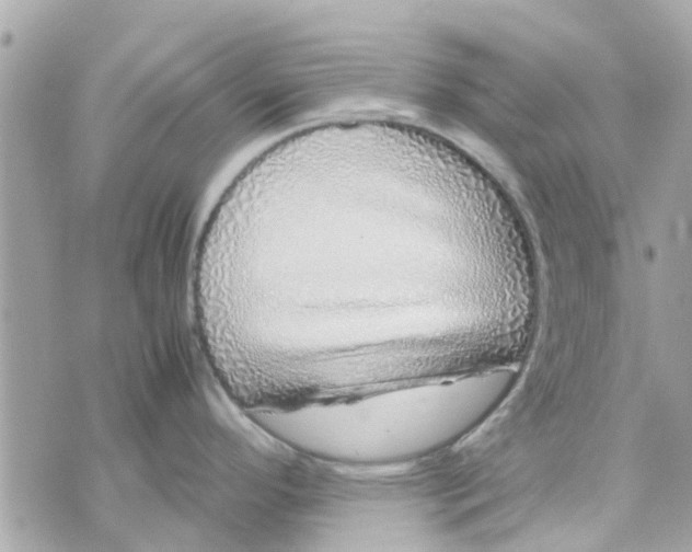 X0000070231296200606161723