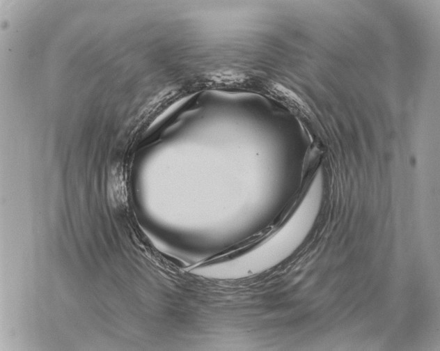 X0000070231298200606161722