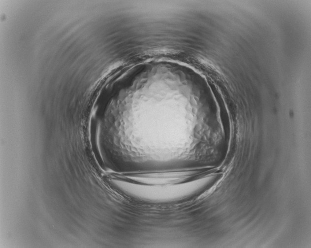 X0000070231305200606161722