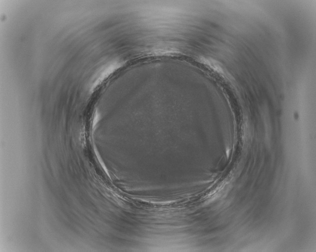 X0000070231306200606161722