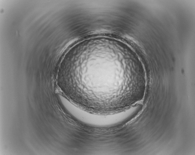 X0000070231313200606161722