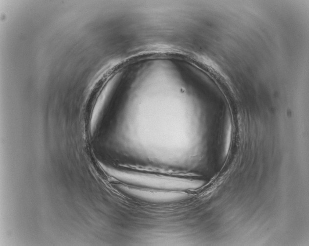 X0000070231318200606161723