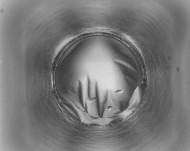 X0000070231320200606161723