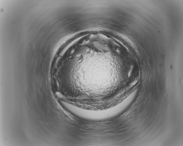 X0000070231327200606161723