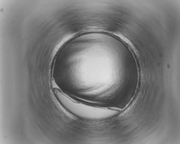 X0000070231333200606161723