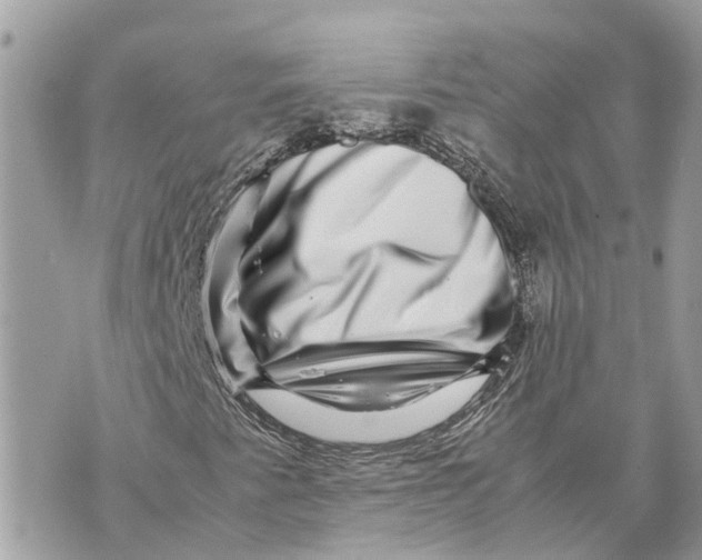X0000070231345200606161722