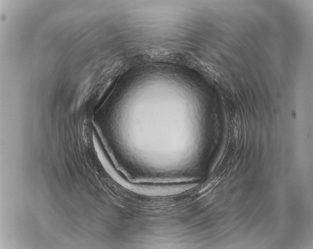 X0000070231346200606161722