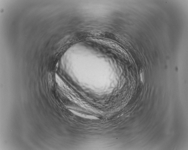 X0000070231347200606161722
