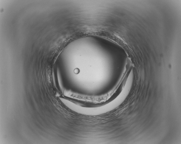 X0000070231348200606161722