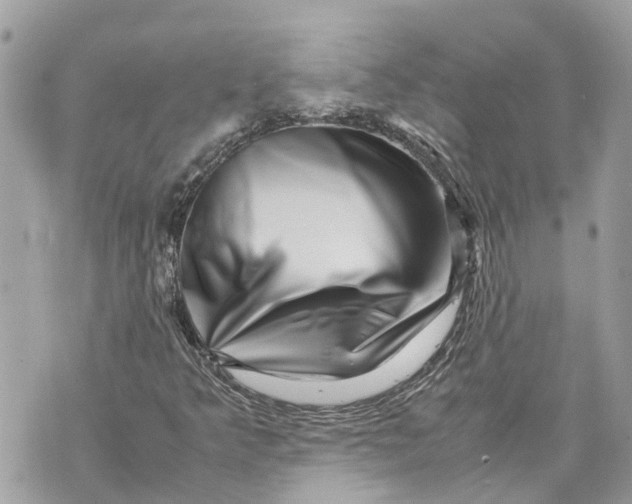 X0000070231349200606161722