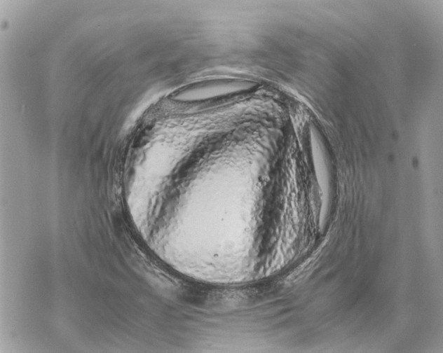 X0000070231355200606161722