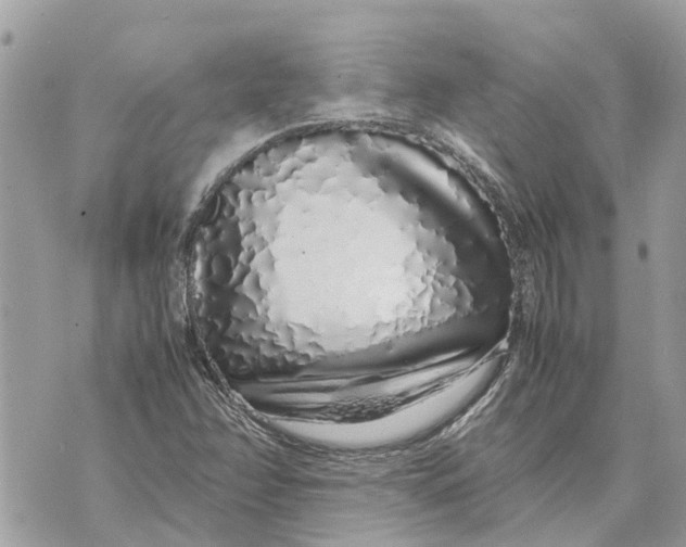 X0000070231358200606161722