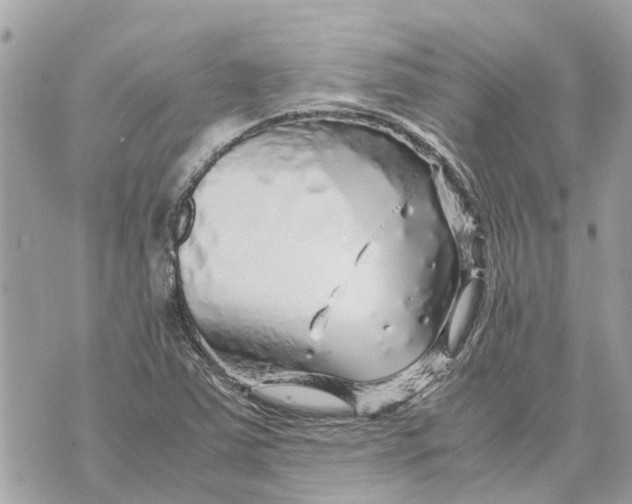 X0000070231363200606161722