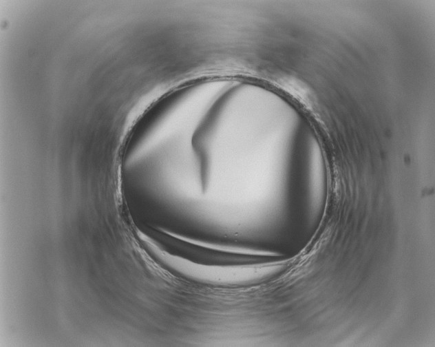 X0000070231366200606161722