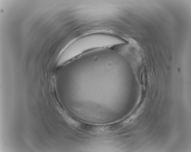 X0000070231369200606161722