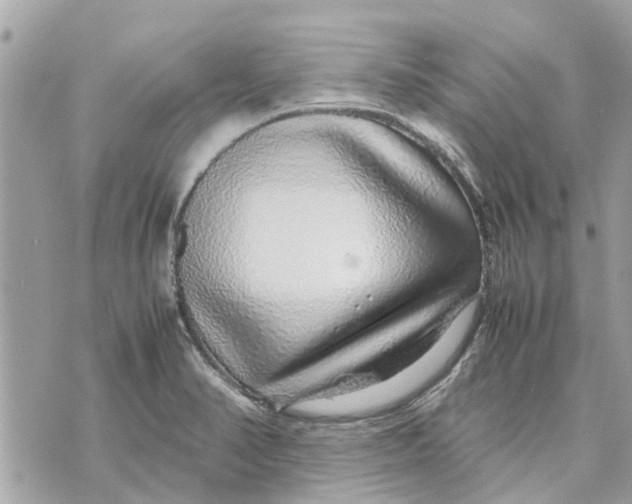 X0000070231374200606161722