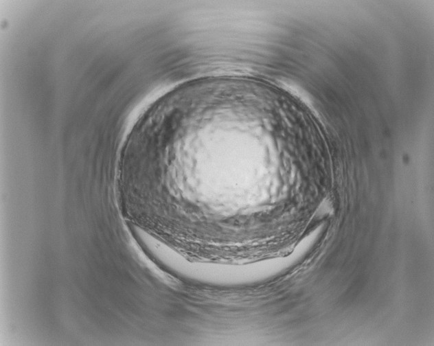 X0000070231379200606161722