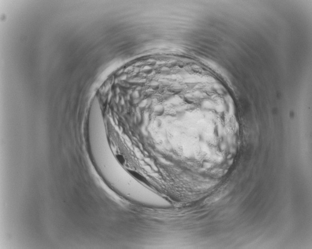 X0000070231383200606161721
