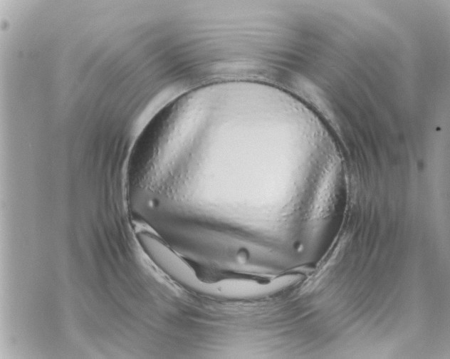 X0000070231386200606161721