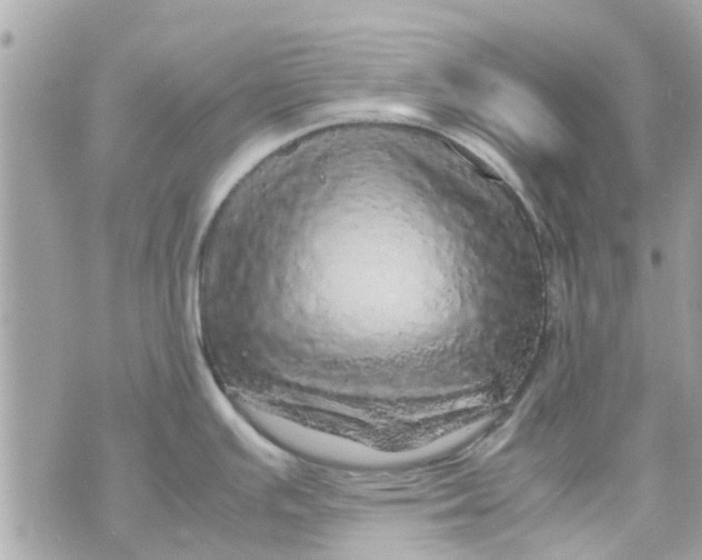 X0000070231391200606161721