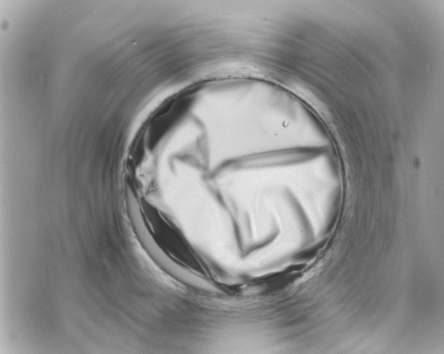 X0000070231392200606161721