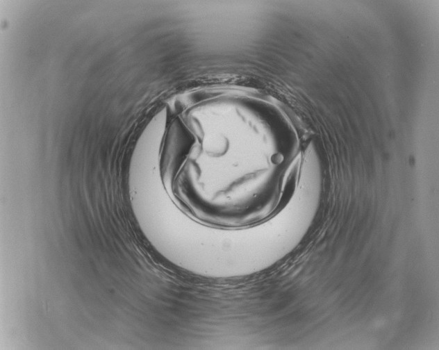 X0000070231394200606161721