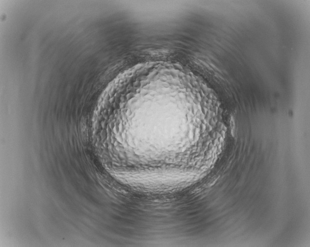 X0000070231395200606161721