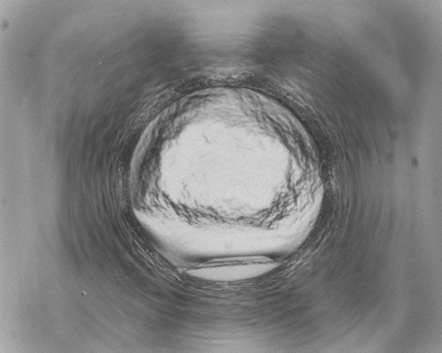 X0000070231396200606161721