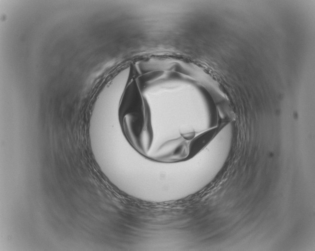 X0000070231398200606161721