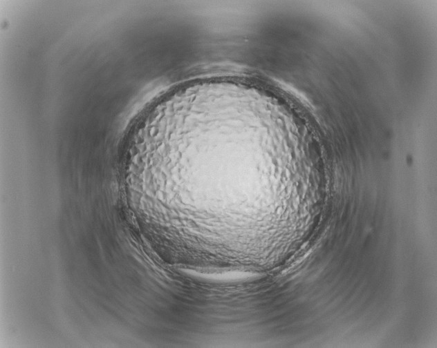 X0000070231407200606161721