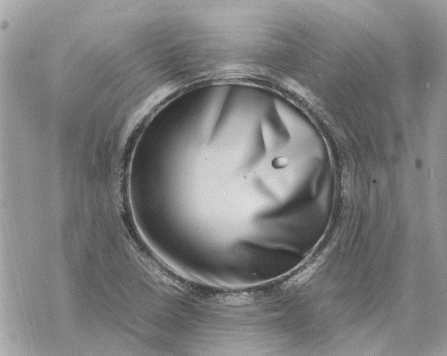 X0000070231410200606161721