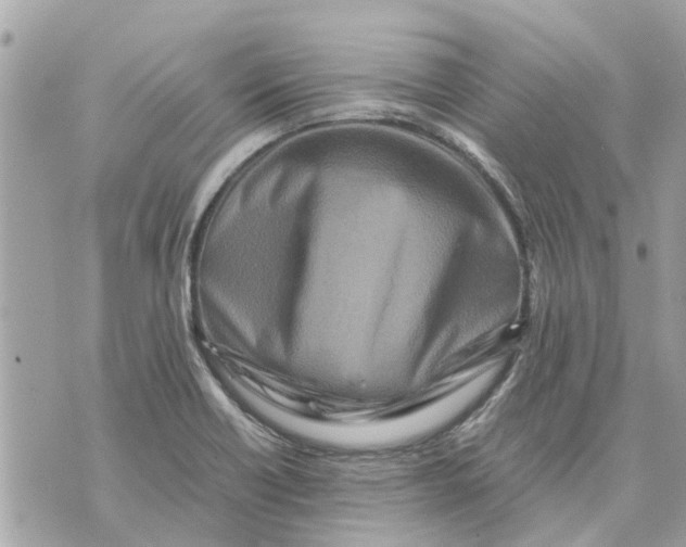 X0000070231418200606161721