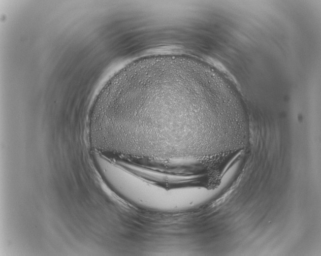 X0000070231421200606161721