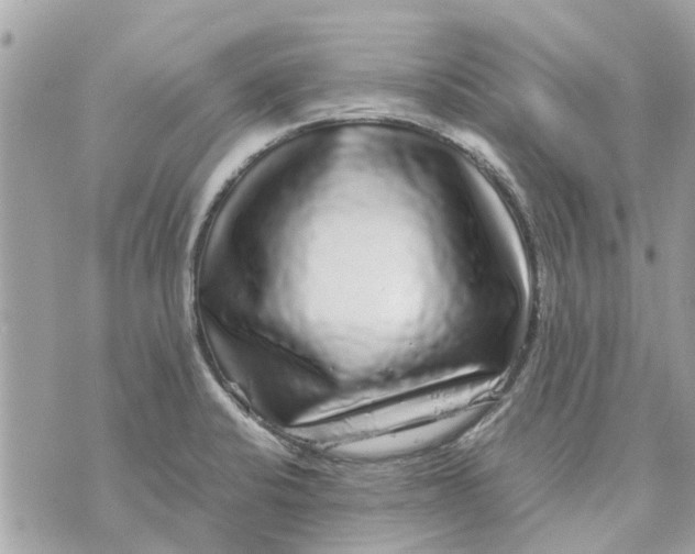 X0000070231424200606161721