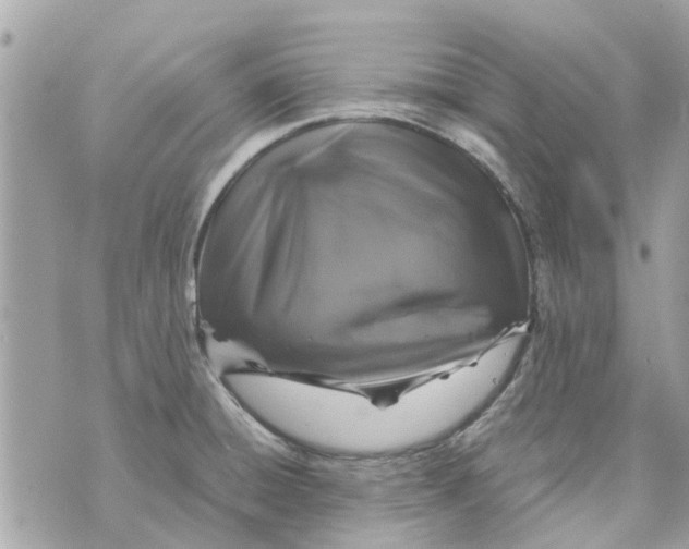X0000070231428200606161721