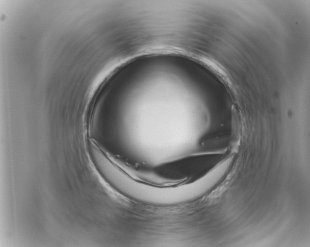X0000070231430200606161721