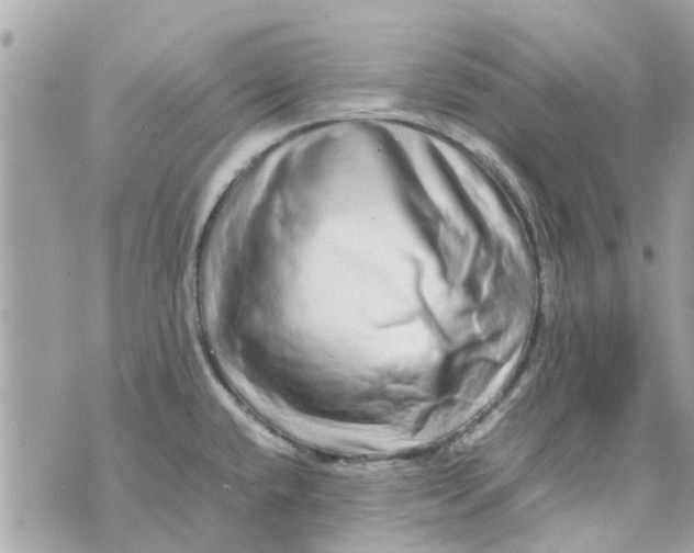 X0000070231432200606161721