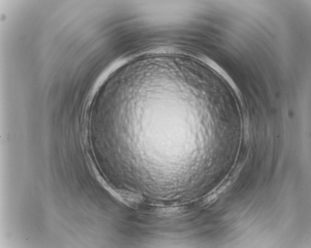 X0000070231437200606161721
