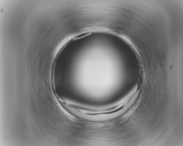 X0000070231438200606161721