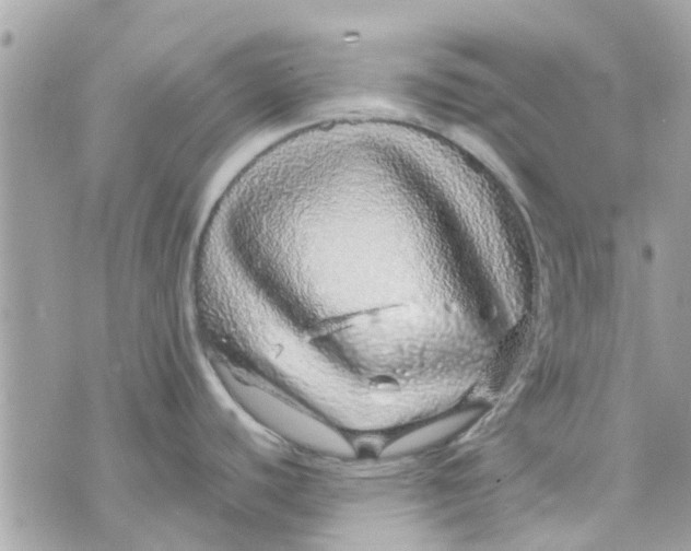 X0000070231440200606161721