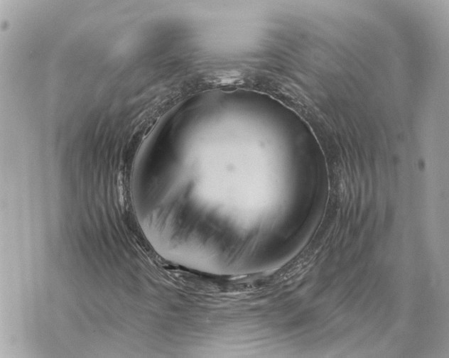 X0000070231442200606161720